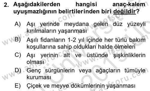 Bahçe Tarımı 1 Dersi 2018 - 2019 Yılı 3 Ders Sınav Soruları 2. Soru