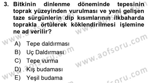 Bahçe Tarımı 1 Dersi 2018 - 2019 Yılı 3 Ders Sınav Soruları 3. Soru
