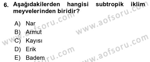 Bahçe Tarımı 1 Dersi 2018 - 2019 Yılı 3 Ders Sınav Soruları 6. Soru