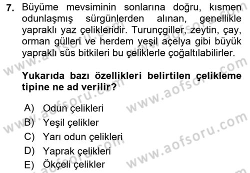 Bahçe Tarımı 1 Dersi 2018 - 2019 Yılı 3 Ders Sınav Soruları 7. Soru