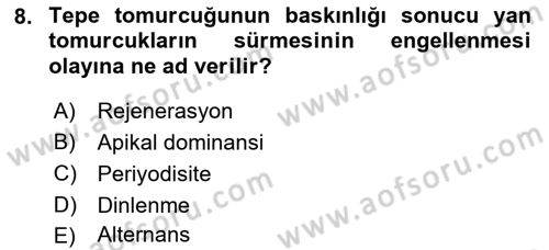 Bahçe Tarımı 1 Dersi 2018 - 2019 Yılı 3 Ders Sınav Soruları 8. Soru