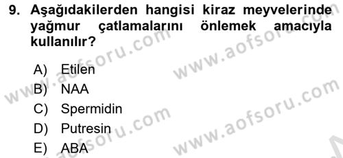 Bahçe Tarımı 1 Dersi 2018 - 2019 Yılı 3 Ders Sınav Soruları 9. Soru