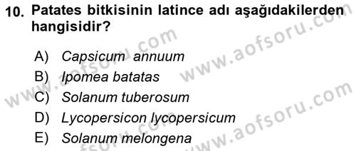 Bahçe Tarımı 1 Dersi 2018 - 2019 Yılı (Vize) Ara Sınav Soruları 10. Soru