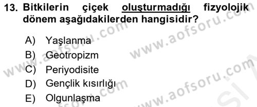 Bahçe Tarımı 1 Dersi 2018 - 2019 Yılı (Vize) Ara Sınav Soruları 13. Soru
