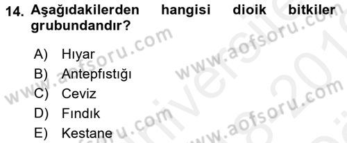 Bahçe Tarımı 1 Dersi 2018 - 2019 Yılı (Vize) Ara Sınav Soruları 14. Soru