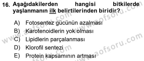 Bahçe Tarımı 1 Dersi 2018 - 2019 Yılı (Vize) Ara Sınav Soruları 16. Soru