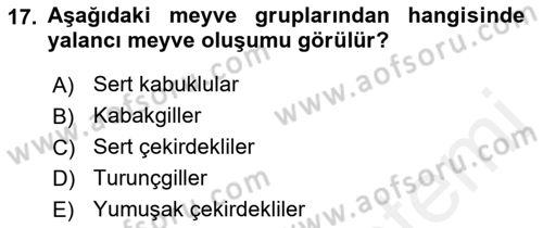 Bahçe Tarımı 1 Dersi 2018 - 2019 Yılı (Vize) Ara Sınav Soruları 17. Soru