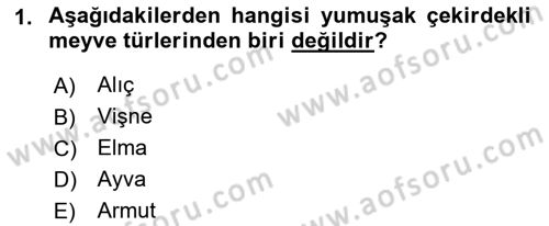Bahçe Tarımı 1 Dersi 2018 - 2019 Yılı (Final) Dönem Sonu Sınav Soruları 1. Soru