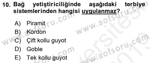 Bahçe Tarımı 1 Dersi 2018 - 2019 Yılı (Final) Dönem Sonu Sınav Soruları 10. Soru