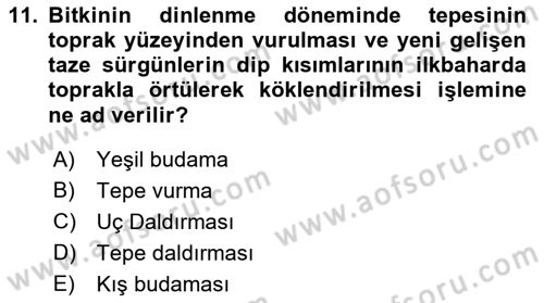Bahçe Tarımı 1 Dersi 2018 - 2019 Yılı (Final) Dönem Sonu Sınav Soruları 11. Soru