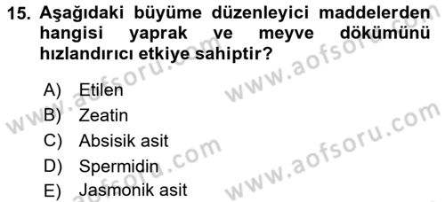 Bahçe Tarımı 1 Dersi 2018 - 2019 Yılı (Final) Dönem Sonu Sınav Soruları 15. Soru