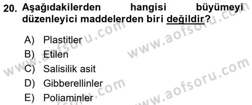 Bahçe Tarımı 1 Dersi 2018 - 2019 Yılı (Final) Dönem Sonu Sınav Soruları 20. Soru