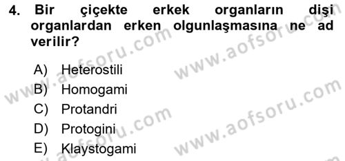 Bahçe Tarımı 1 Dersi 2018 - 2019 Yılı (Final) Dönem Sonu Sınav Soruları 4. Soru