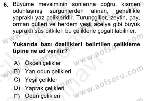 Bahçe Tarımı 1 Dersi 2018 - 2019 Yılı (Final) Dönem Sonu Sınav Soruları 6. Soru