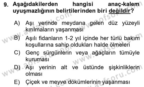 Bahçe Tarımı 1 Dersi 2018 - 2019 Yılı (Final) Dönem Sonu Sınav Soruları 9. Soru