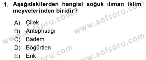 Bahçe Tarımı 1 Dersi 2018 - 2019 Yılı Yaz Okulu Sınav Soruları 1. Soru
