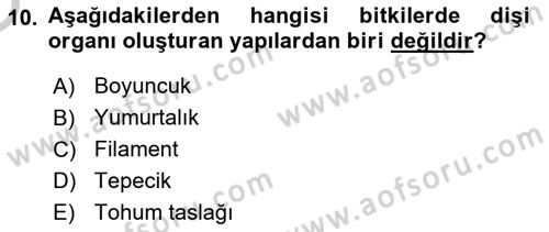Bahçe Tarımı 1 Dersi 2018 - 2019 Yılı Yaz Okulu Sınav Soruları 10. Soru