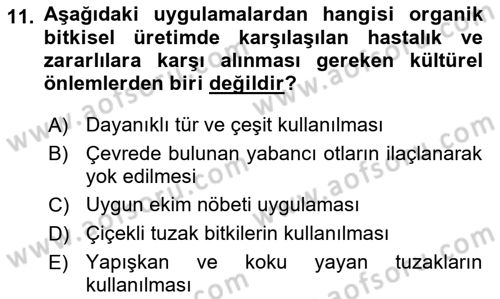 Bahçe Tarımı 1 Dersi 2018 - 2019 Yılı Yaz Okulu Sınav Soruları 11. Soru