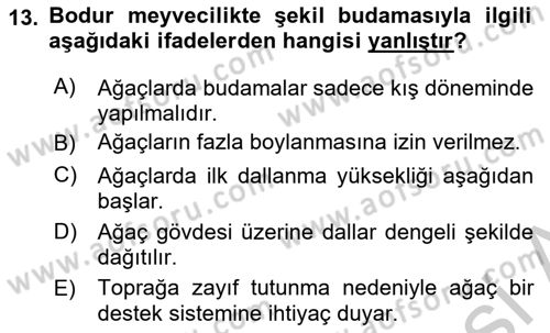 Bahçe Tarımı 1 Dersi 2018 - 2019 Yılı Yaz Okulu Sınav Soruları 13. Soru