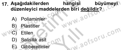 Bahçe Tarımı 1 Dersi 2018 - 2019 Yılı Yaz Okulu Sınav Soruları 17. Soru