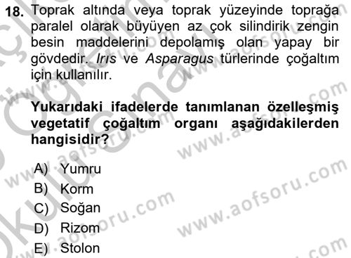 Bahçe Tarımı 1 Dersi 2018 - 2019 Yılı Yaz Okulu Sınav Soruları 18. Soru