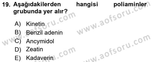 Bahçe Tarımı 1 Dersi 2018 - 2019 Yılı Yaz Okulu Sınav Soruları 19. Soru