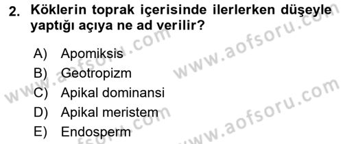 Bahçe Tarımı 1 Dersi 2018 - 2019 Yılı Yaz Okulu Sınav Soruları 2. Soru