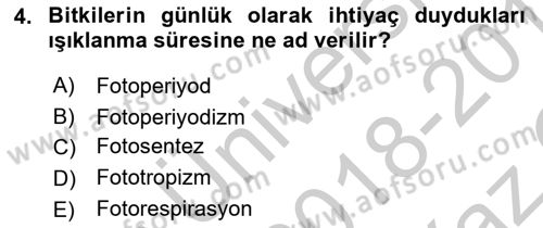 Bahçe Tarımı 1 Dersi 2018 - 2019 Yılı Yaz Okulu Sınav Soruları 4. Soru