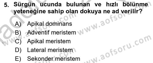 Bahçe Tarımı 1 Dersi 2018 - 2019 Yılı Yaz Okulu Sınav Soruları 5. Soru