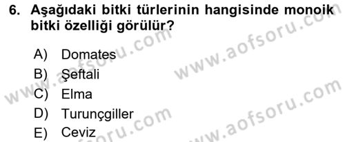 Bahçe Tarımı 1 Dersi 2018 - 2019 Yılı Yaz Okulu Sınav Soruları 6. Soru