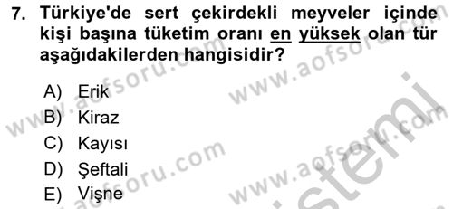 Bahçe Tarımı 1 Dersi 2018 - 2019 Yılı Yaz Okulu Sınav Soruları 7. Soru