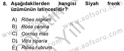 Bahçe Tarımı 1 Dersi 2018 - 2019 Yılı Yaz Okulu Sınav Soruları 8. Soru