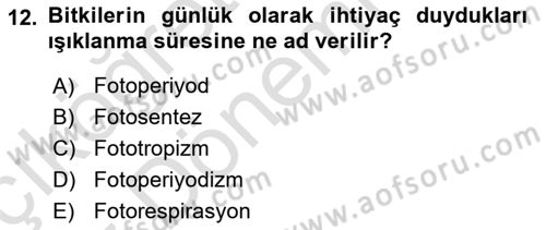 Bahçe Tarımı 1 Dersi 2019 - 2020 Yılı (Vize) Ara Sınav Soruları 12. Soru