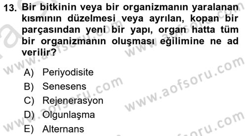 Bahçe Tarımı 1 Dersi 2019 - 2020 Yılı (Vize) Ara Sınav Soruları 13. Soru
