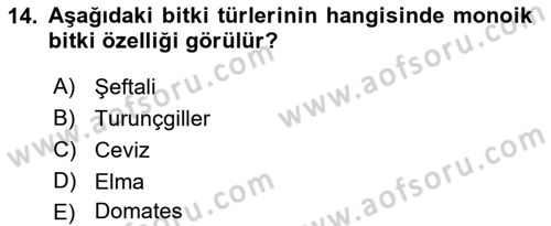 Bahçe Tarımı 1 Dersi 2019 - 2020 Yılı (Vize) Ara Sınav Soruları 14. Soru