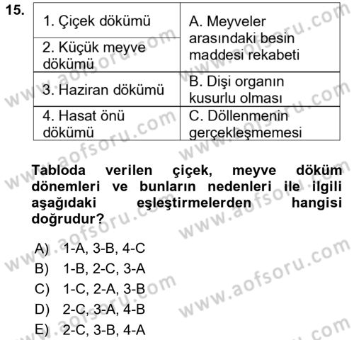 Bahçe Tarımı 1 Dersi 2019 - 2020 Yılı (Vize) Ara Sınav Soruları 15. Soru
