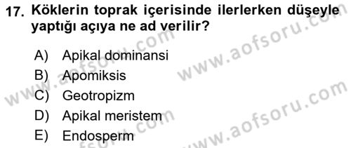 Bahçe Tarımı 1 Dersi 2019 - 2020 Yılı (Vize) Ara Sınav Soruları 17. Soru