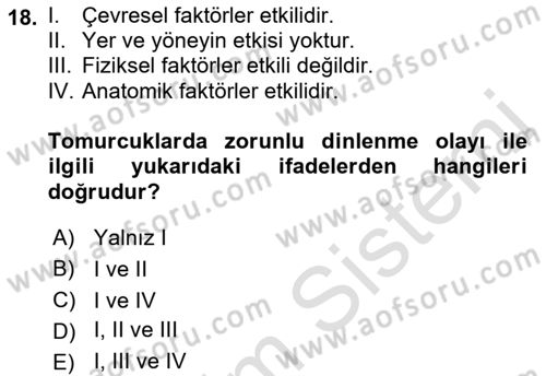 Bahçe Tarımı 1 Dersi 2019 - 2020 Yılı (Vize) Ara Sınav Soruları 18. Soru