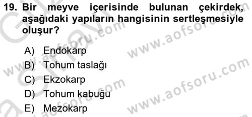 Bahçe Tarımı 1 Dersi 2019 - 2020 Yılı (Vize) Ara Sınav Soruları 19. Soru