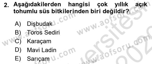 Bahçe Tarımı 1 Dersi 2019 - 2020 Yılı (Vize) Ara Sınav Soruları 2. Soru