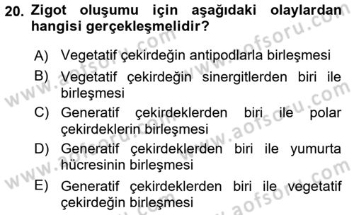 Bahçe Tarımı 1 Dersi 2019 - 2020 Yılı (Vize) Ara Sınav Soruları 20. Soru