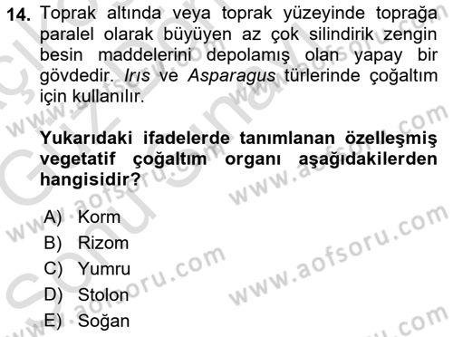 Bahçe Tarımı 1 Dersi 2019 - 2020 Yılı (Final) Dönem Sonu Sınav Soruları 14. Soru