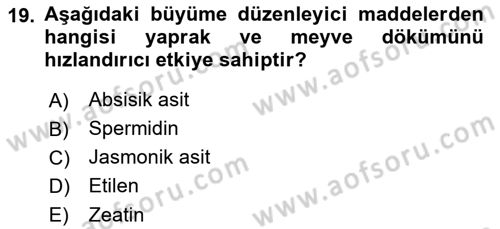 Bahçe Tarımı 1 Dersi 2019 - 2020 Yılı (Final) Dönem Sonu Sınav Soruları 19. Soru