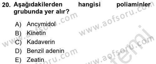 Bahçe Tarımı 1 Dersi 2019 - 2020 Yılı (Final) Dönem Sonu Sınav Soruları 20. Soru
