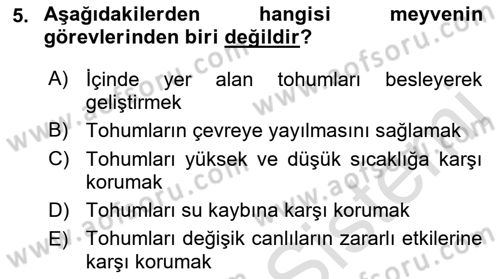 Bahçe Tarımı 1 Dersi 2019 - 2020 Yılı (Final) Dönem Sonu Sınav Soruları 5. Soru