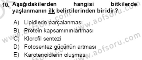 Bahçe Tarımı 1 Dersi 2020 - 2021 Yılı Yaz Okulu Sınav Soruları 10. Soru