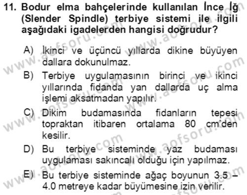 Bahçe Tarımı 1 Dersi 2020 - 2021 Yılı Yaz Okulu Sınav Soruları 11. Soru