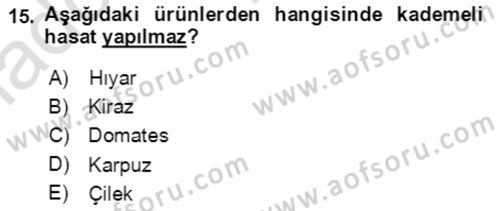Bahçe Tarımı 1 Dersi 2020 - 2021 Yılı Yaz Okulu Sınav Soruları 15. Soru