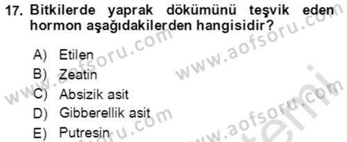 Bahçe Tarımı 1 Dersi 2020 - 2021 Yılı Yaz Okulu Sınav Soruları 17. Soru