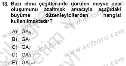 Bahçe Tarımı 1 Dersi 2020 - 2021 Yılı Yaz Okulu Sınav Soruları 18. Soru